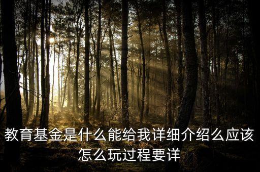 教育基金的風(fēng)險是什么，交兒童教育基金有沒有風(fēng)險
