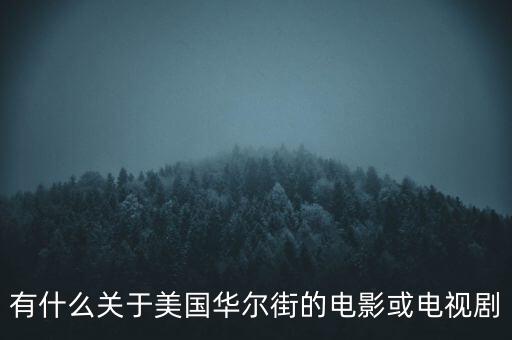 有什么關(guān)于美國華爾街的電影或電視劇