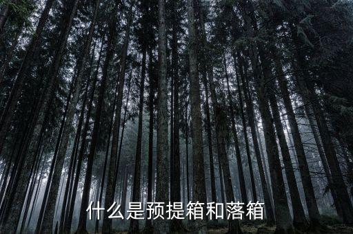什么是集裝箱預(yù)提，270秒幾秒