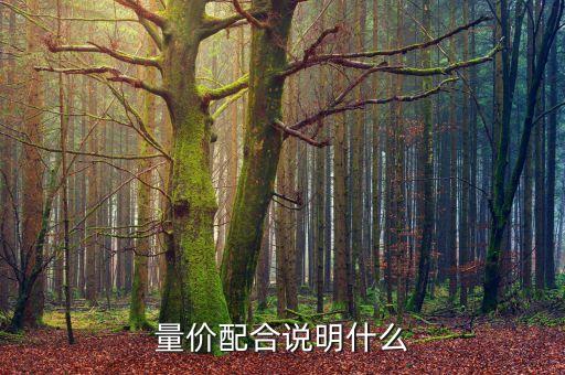 量價(jià)齊升說明什么，量價(jià)齊升什么意思