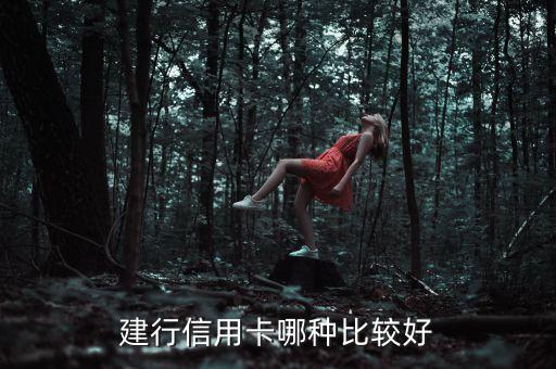 建行信用卡什么卡種好，建設銀行哪種信用卡好