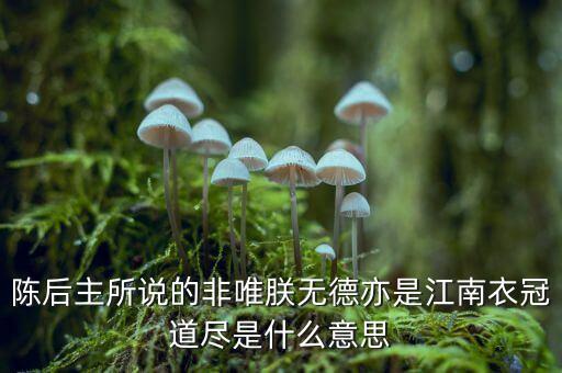 藏糧于地什么意思，陳后主所說的非唯朕無德亦是江南衣冠道盡是什么意思