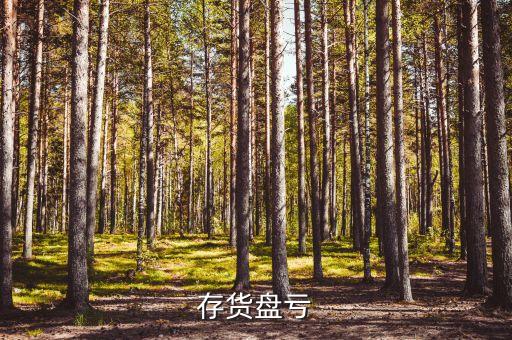 存貨盤虧