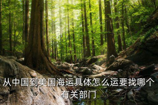 從中國(guó)到美國(guó)海運(yùn)具體怎么運(yùn)要找哪個(gè)有關(guān)部門(mén)