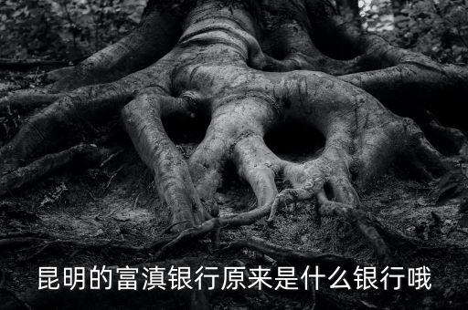 昆明的富滇銀行原來是什么銀行哦