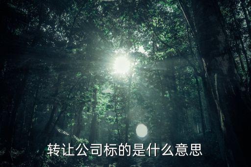 轉(zhuǎn)讓公司標(biāo)的是什么意思