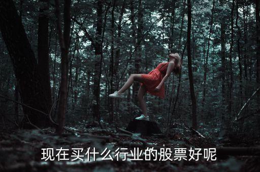 買什么行業(yè)的股票，現(xiàn)在買什么行業(yè)的股票好呢