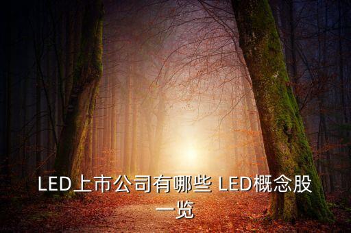 上市公司鴻什么視訊，視訊行業(yè)有哪些公司