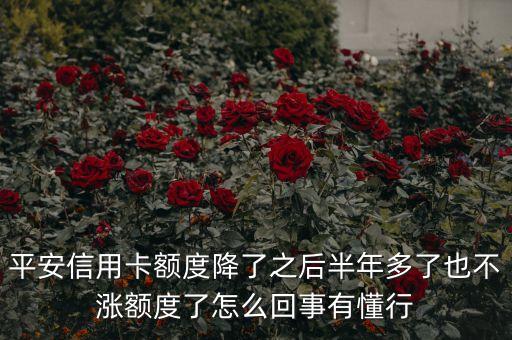 平安銀行為什么不漲，為什么平安銀行非公開發(fā)行成功而股票不漲