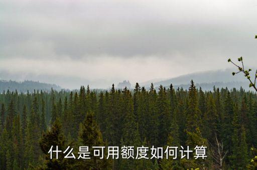 融資可用額度是什么，什么是可用額度如何計算