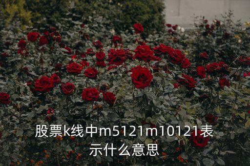 日線m5什么意思，誰能解釋下M5和M10指數(shù)代表的什么