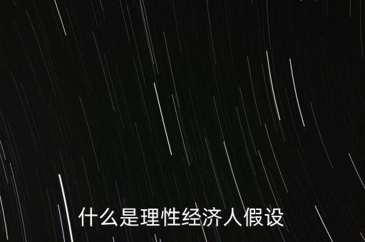 什么叫理性人假設(shè)，什么是理性經(jīng)濟(jì)人假設(shè)