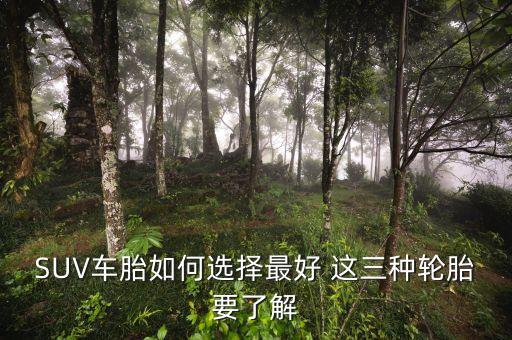 suv配什么輪胎，SUV車胎如何選擇最好 這三種輪胎要了解