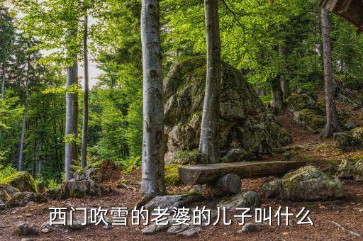 孫友元的兒子叫什么，孫素芹的兒子叫什么