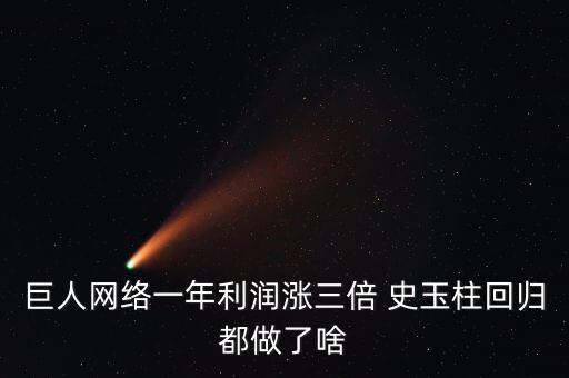 巨人網(wǎng)絡(luò)一年利潤漲三倍 史玉柱回歸都做了啥