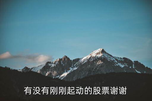 有沒(méi)有剛剛起動(dòng)的股票謝謝