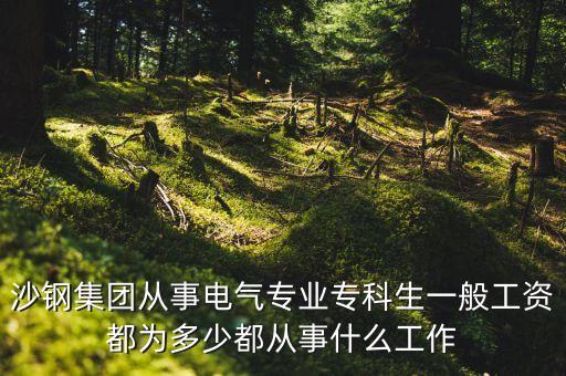 沙鋼集團(tuán)從事電氣專業(yè)專科生一般工資都為多少都從事什么工作