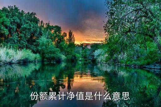 份額凈值是什么意思，基金份額凈值的基本定義