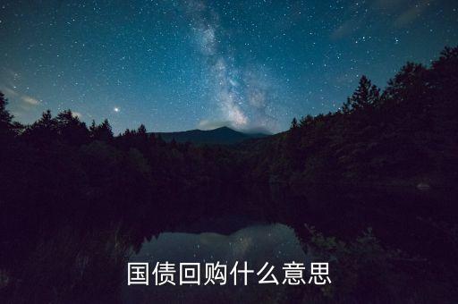 國(guó)債回購(gòu)是什么意思，131801國(guó)債回購(gòu)是什么意思