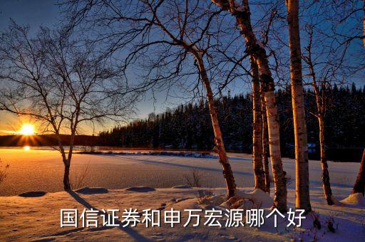 國信證券和申萬宏源哪個(gè)好