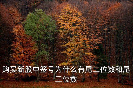新股中簽號(hào)為什么是3位，購買新股中簽號(hào)為什么有尾二位數(shù)和尾三位數(shù)