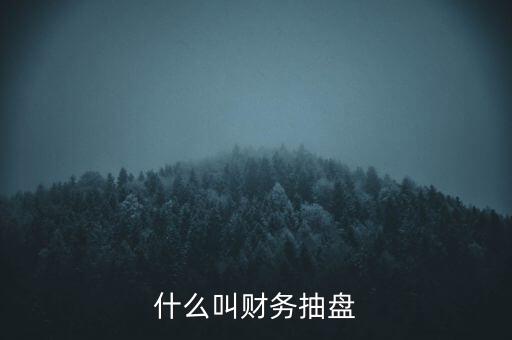 什么叫財(cái)務(wù)抽盤(pán)