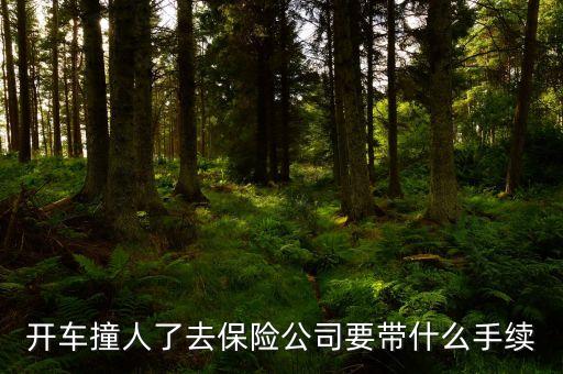 開車撞人了去保險公司要帶什么手續(xù)