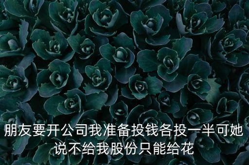 朋友要開公司我準備投錢各投一半可她說不給我股份只能給花