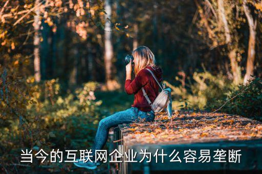 互聯(lián)網(wǎng)為什么會(huì)壟斷，為什么網(wǎng)絡(luò)經(jīng)濟(jì)下更容易形成壟斷