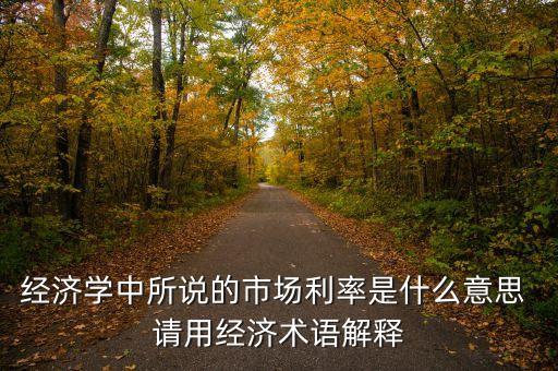 經(jīng)濟(jì)學(xué)中所說的市場利率是什么意思 請用經(jīng)濟(jì)術(shù)語解釋