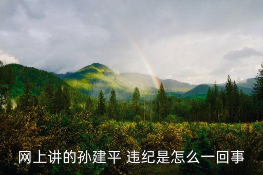 孫建平為什么被免，孫建平違紀(jì)說(shuō)的是那個(gè)缺德裝潢公司的老總吧