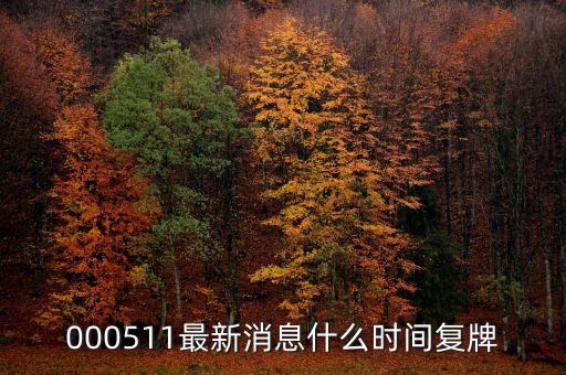 天舟文化什么時候復盤，又問天舟什么時候復盤