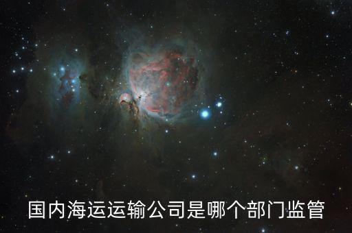 海運(yùn)需要跟什么政府部門，國(guó)內(nèi)海運(yùn)運(yùn)輸公司是哪個(gè)部門監(jiān)管