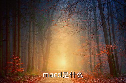 macd什么意思，macd的含義是什么要簡單明了