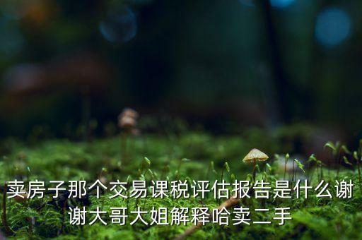 交易課稅是什么意思，名詞解釋證券交易稅