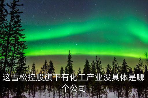 這雪松控股旗下有化工產(chǎn)業(yè)沒具體是哪個(gè)公司