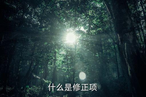 什么是修正項(xiàng)