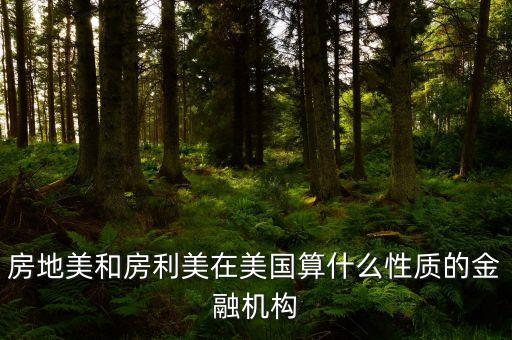 房地美和房利美在美國算什么性質(zhì)的金融機構