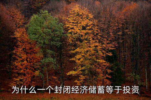 為什么一個封閉經(jīng)濟儲蓄等于投資
