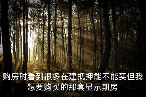 購房時看到很多在建抵押能不能買但我想要購買的那套顯示期房