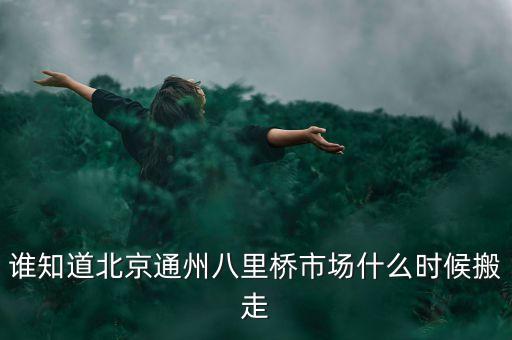 八里橋市場(chǎng)什么時(shí)候搬遷，八里橋建材市場(chǎng)拆遷嗎