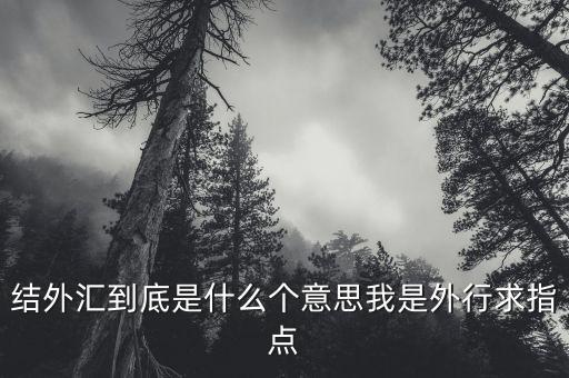 結(jié)外匯到底是什么個意思我是外行求指點
