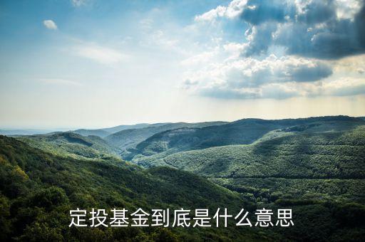 什么是定向投資基金，什么是定投基金
