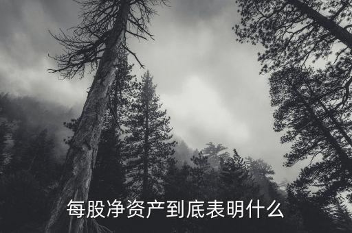 每股凈資產(chǎn)到底表明什么