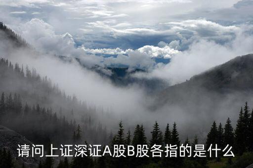 請(qǐng)問上證深證A股B股各指的是什么