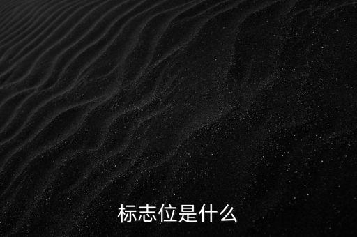 投標(biāo)標(biāo)位是什么意思，投標(biāo)的標(biāo)項(xiàng)是什么