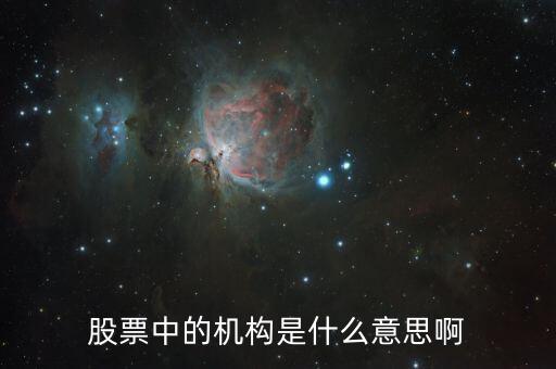 股票中的機(jī)構(gòu)是什么意思啊