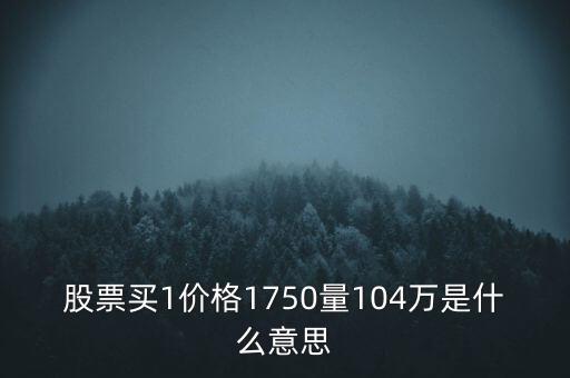股票買1價(jià)格1750量104萬是什么意思