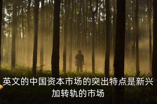 什么是新興加轉(zhuǎn)軌，英文的中國(guó)資本市場(chǎng)的突出特點(diǎn)是新興加轉(zhuǎn)軌的市場(chǎng)