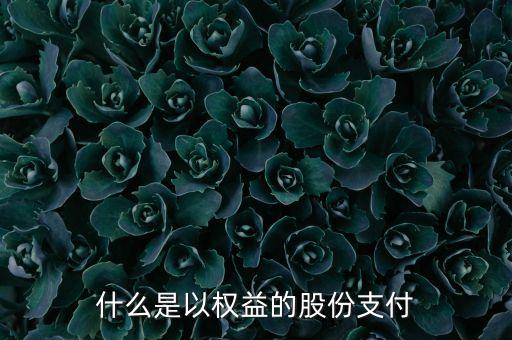 擁有權(quán)益的股份是什么意思，在一個上市公司中擁有權(quán)益的股份達到或者超過該公司已發(fā)行股份的